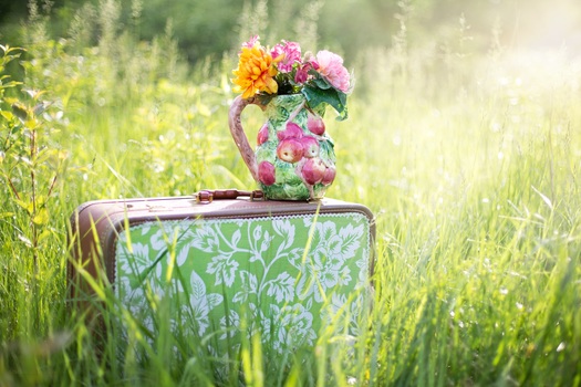 summer-still-life-suitcase-in-field-grass-summer-medium